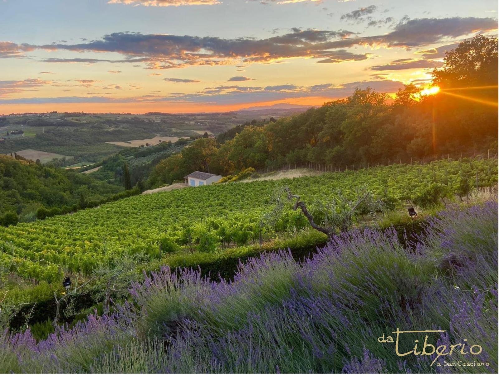Tenuta Massabo San Casciano in Val di Pesa Exterior foto